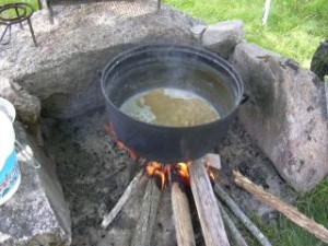 Läs mer om artikeln Koveckorna sommaren 2018