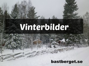 Läs mer om artikeln Vinterbilder